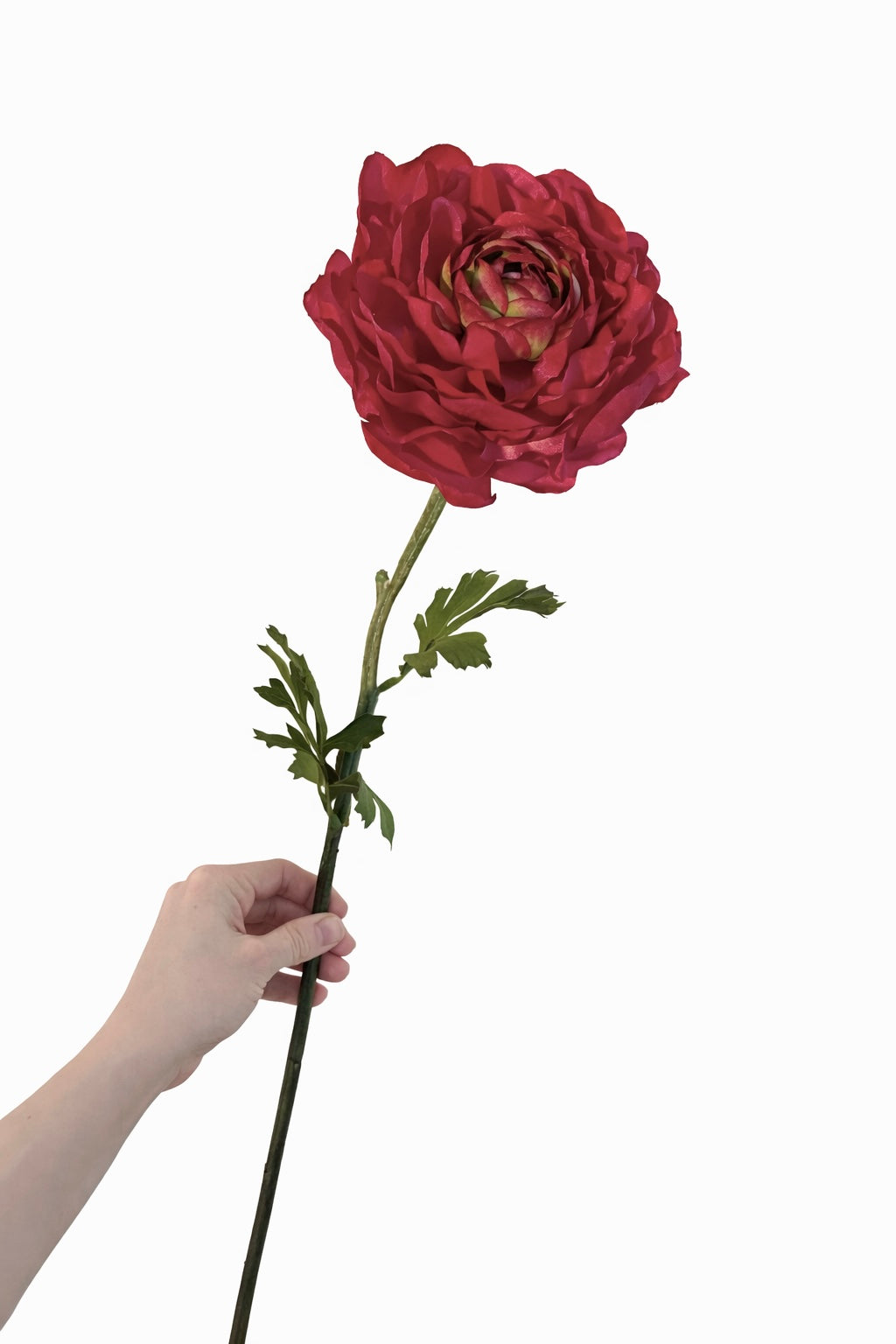 Faux ranunculus stem - deep pink
