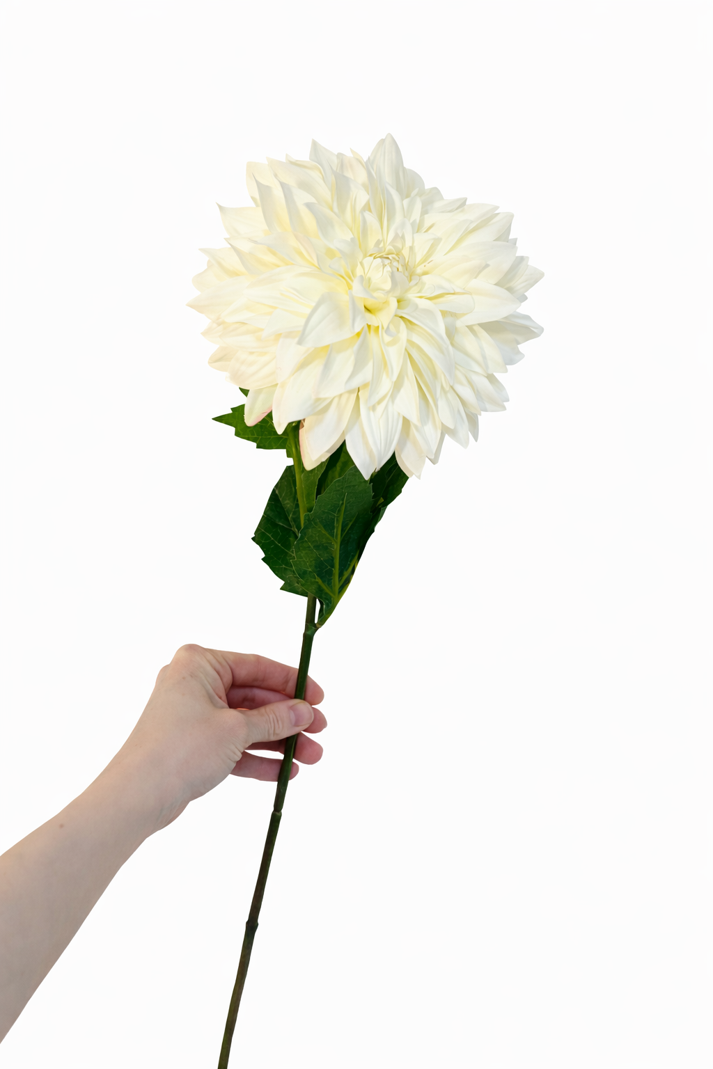 Faux ivory dahlia stem