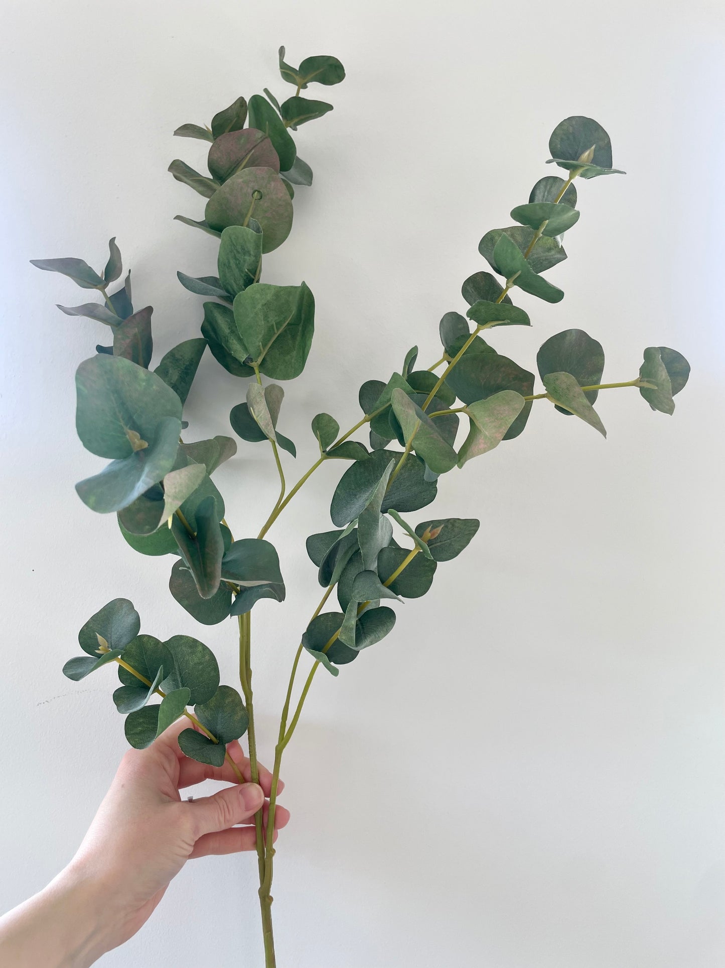 Faux eucalyptus stem