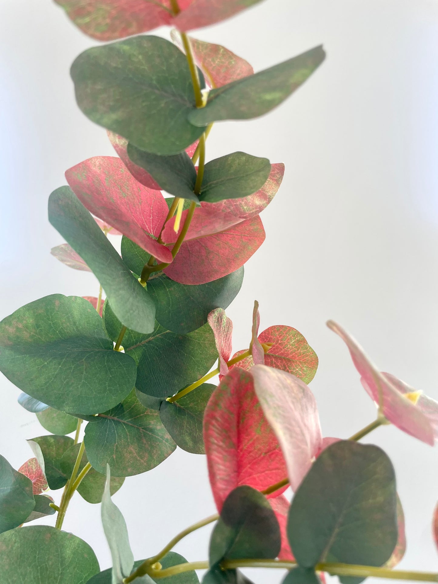 Faux blush eucalyptus stem