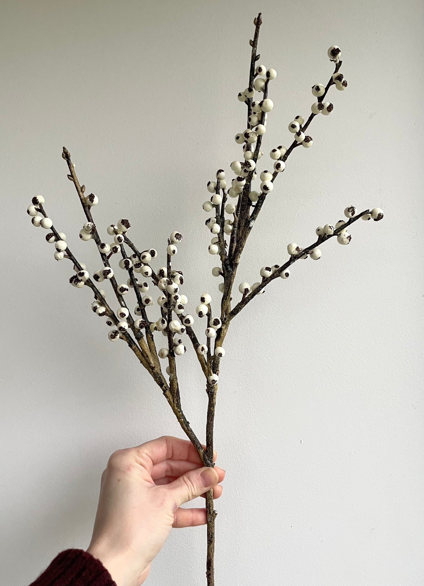 Ivory berry stem