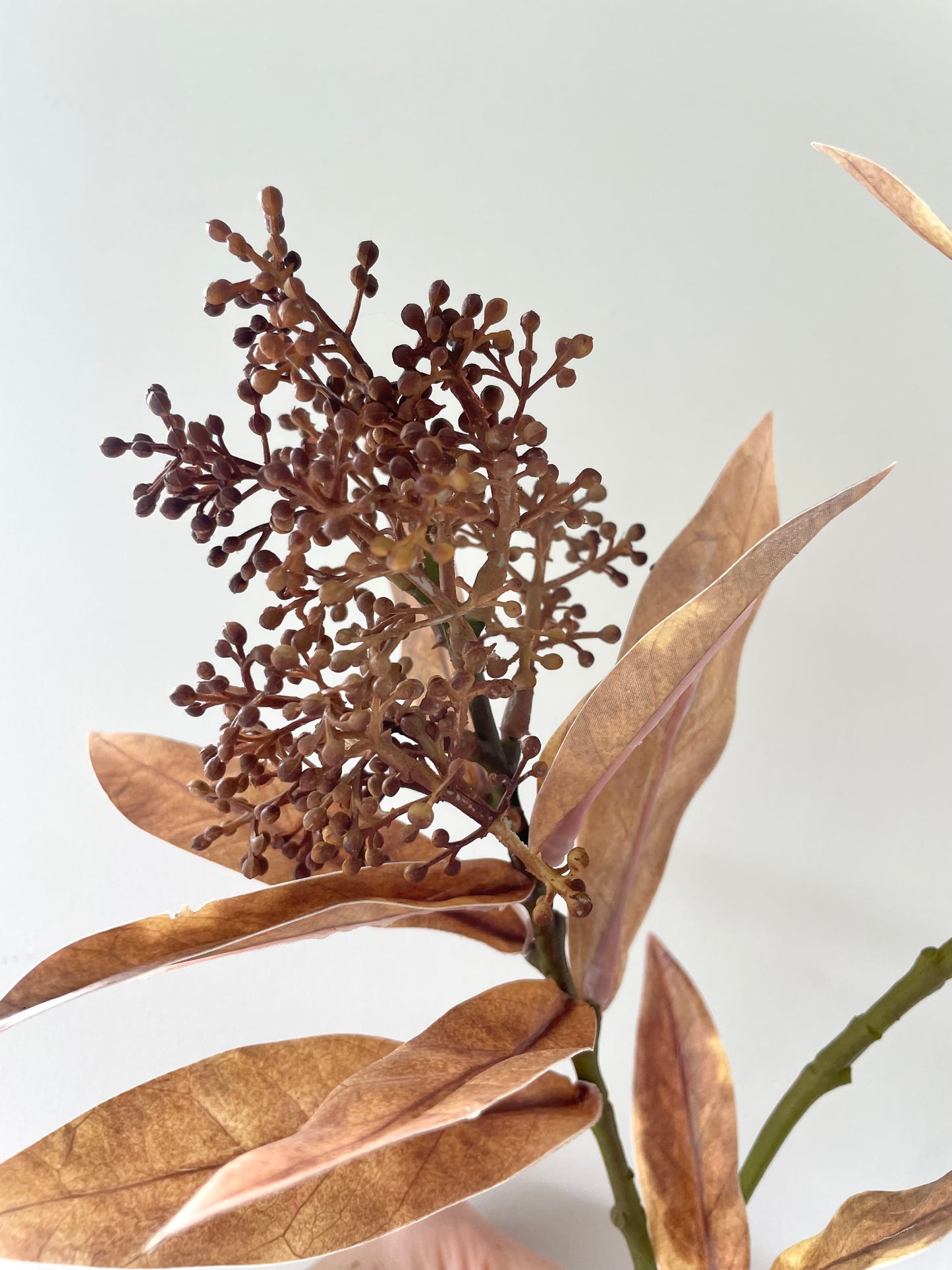 Faux skimmia stem