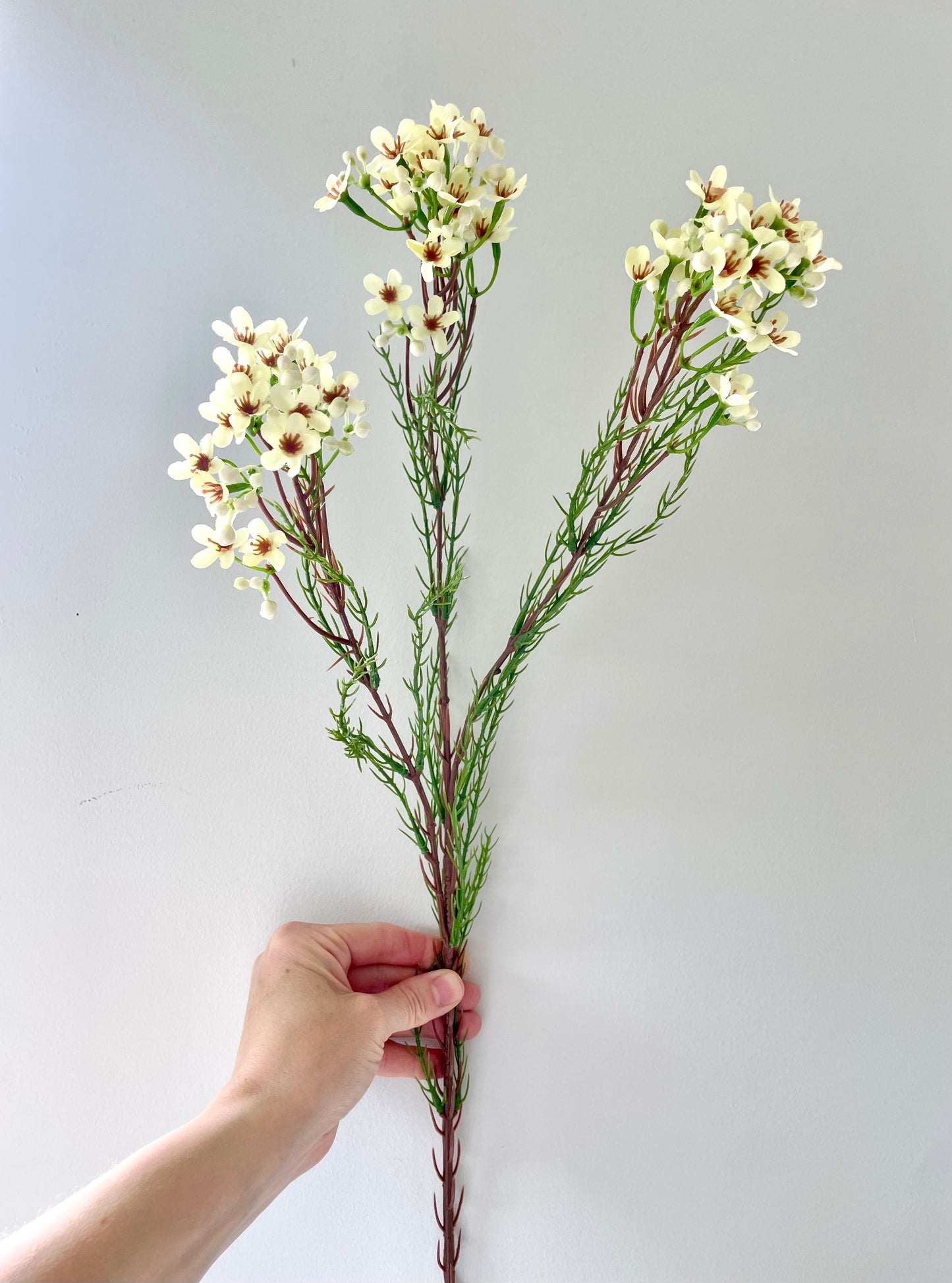 Faux ivory waxflower stem