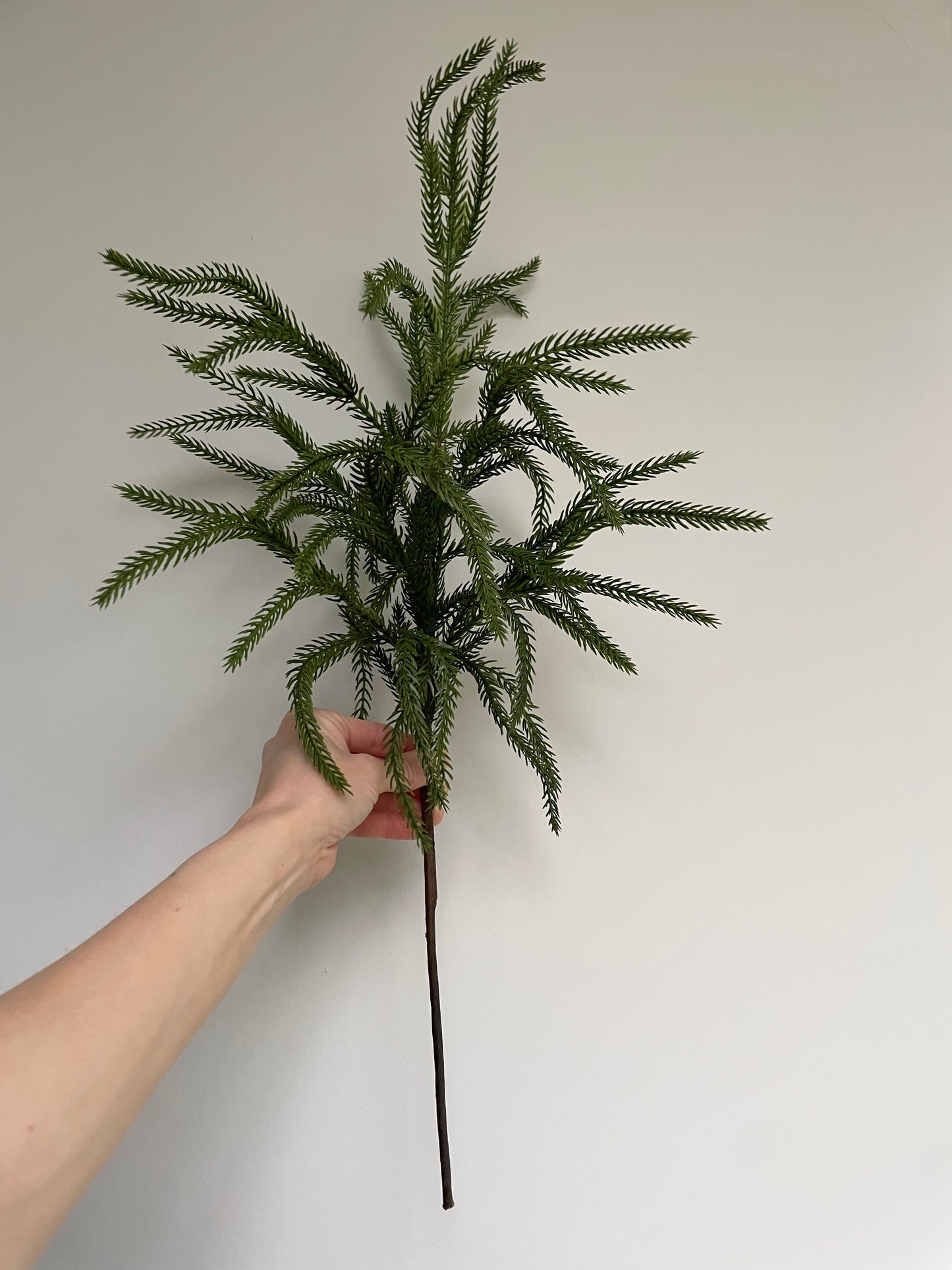 Faux real touch Norfolk pine stem