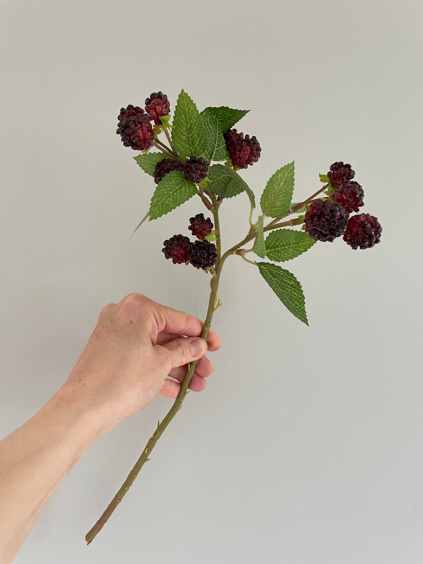 Faux blackberry stem