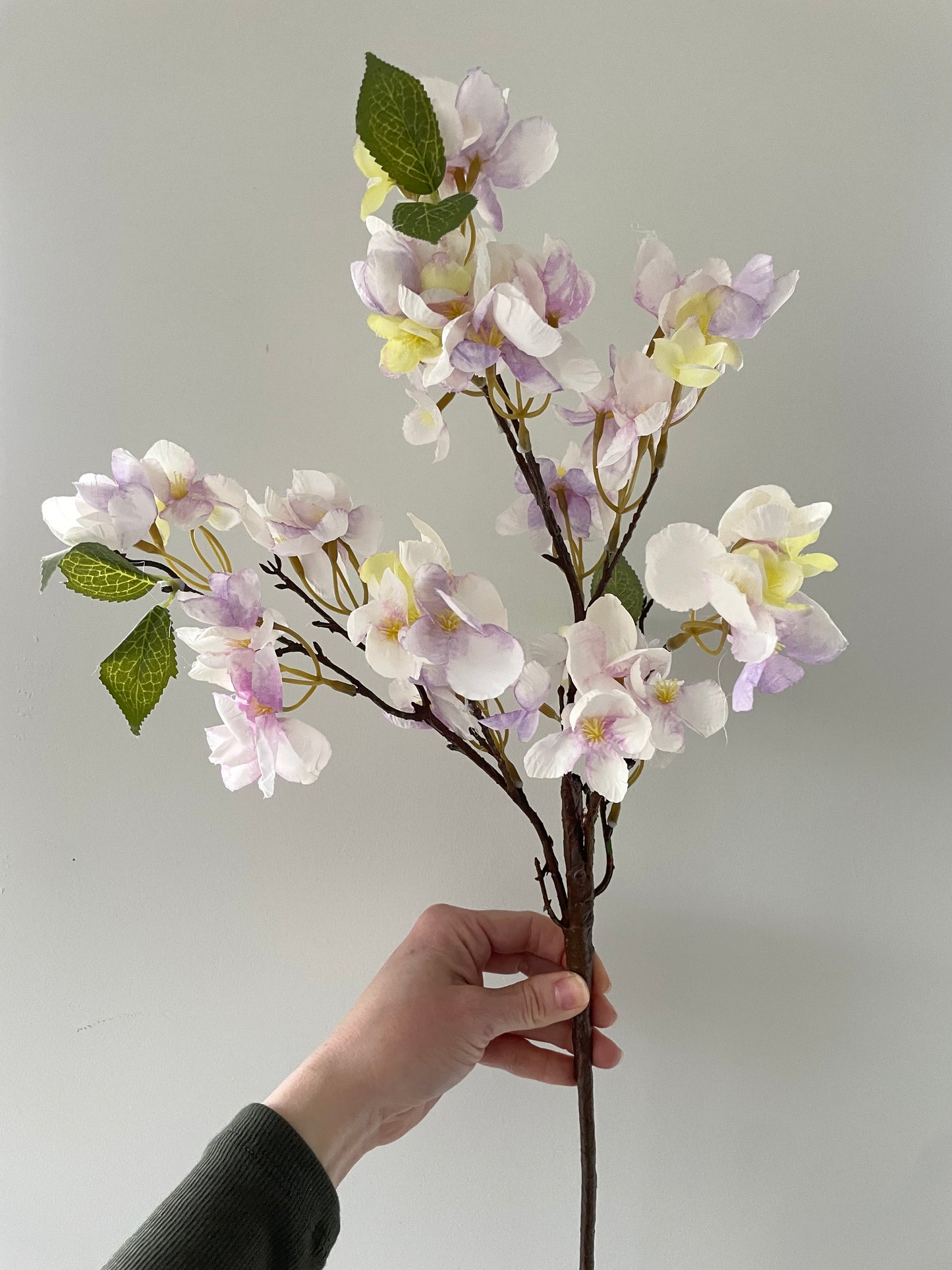 Lilac blossom stem