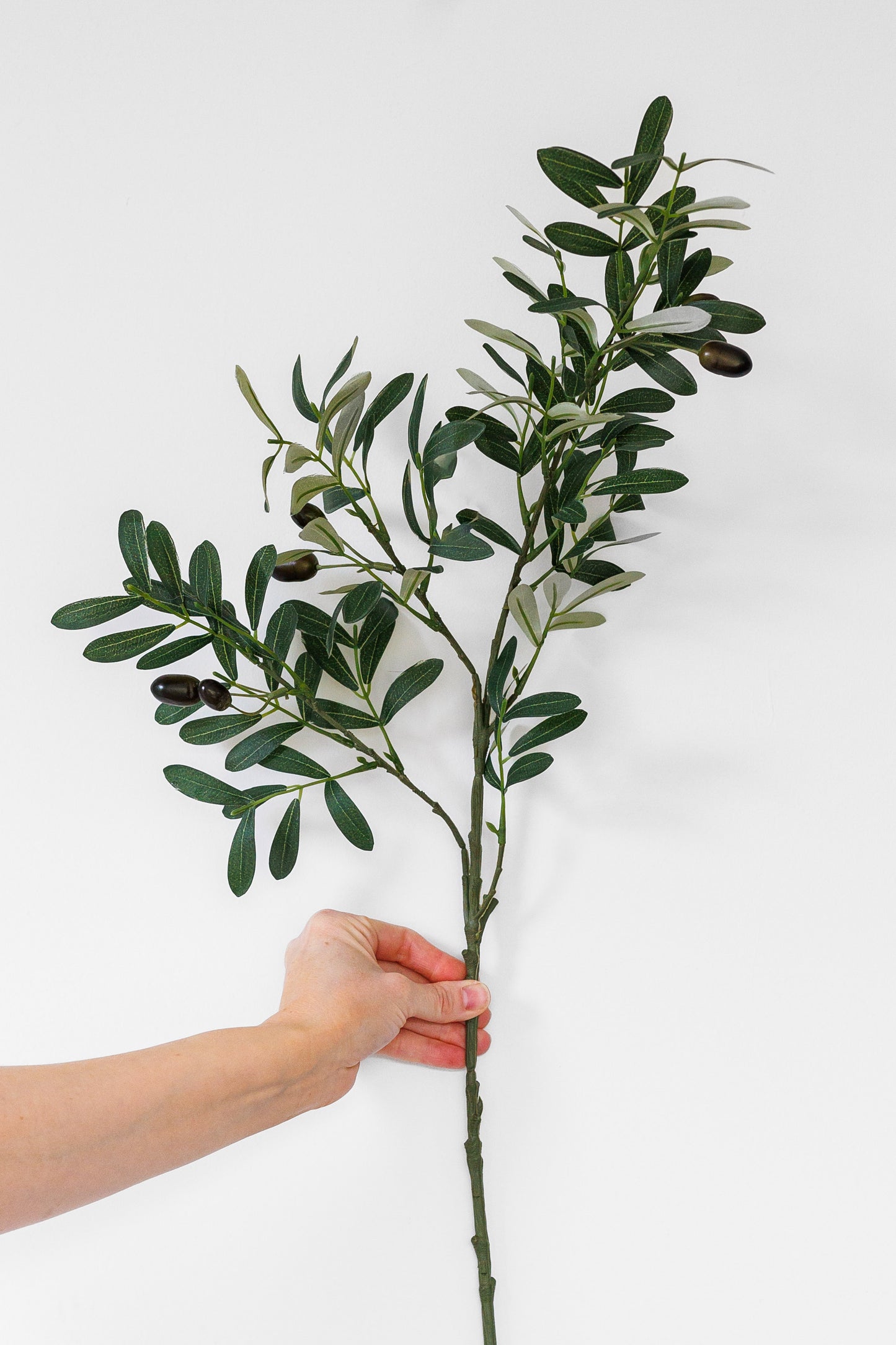 Faux olive stem