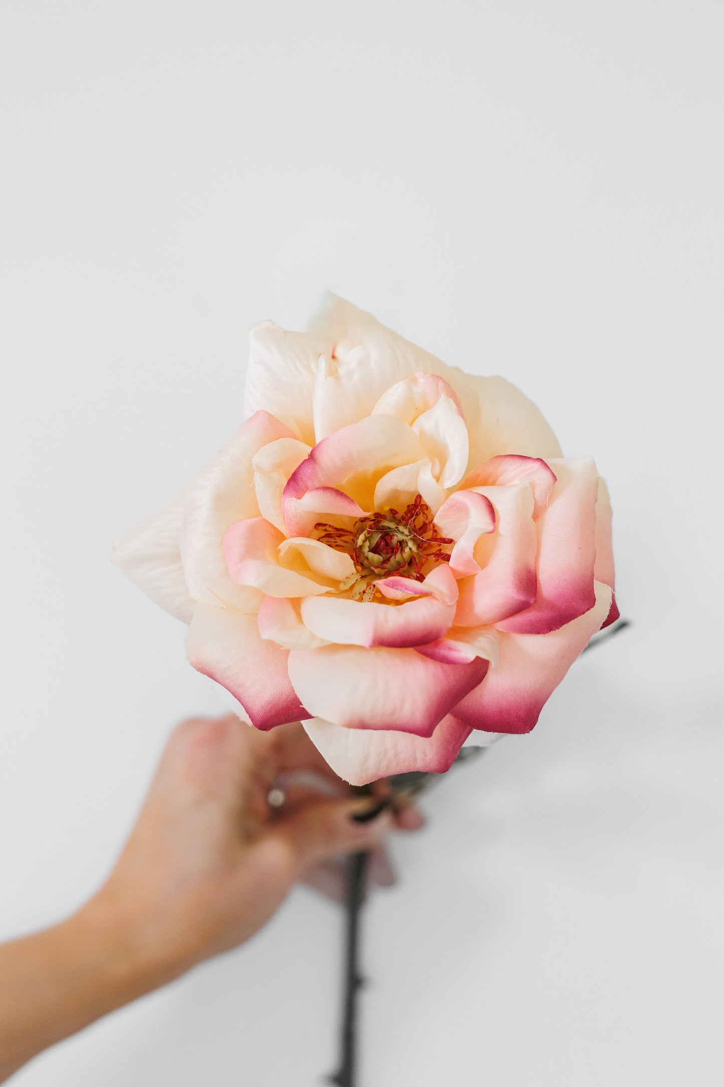 Blush rose stem loo