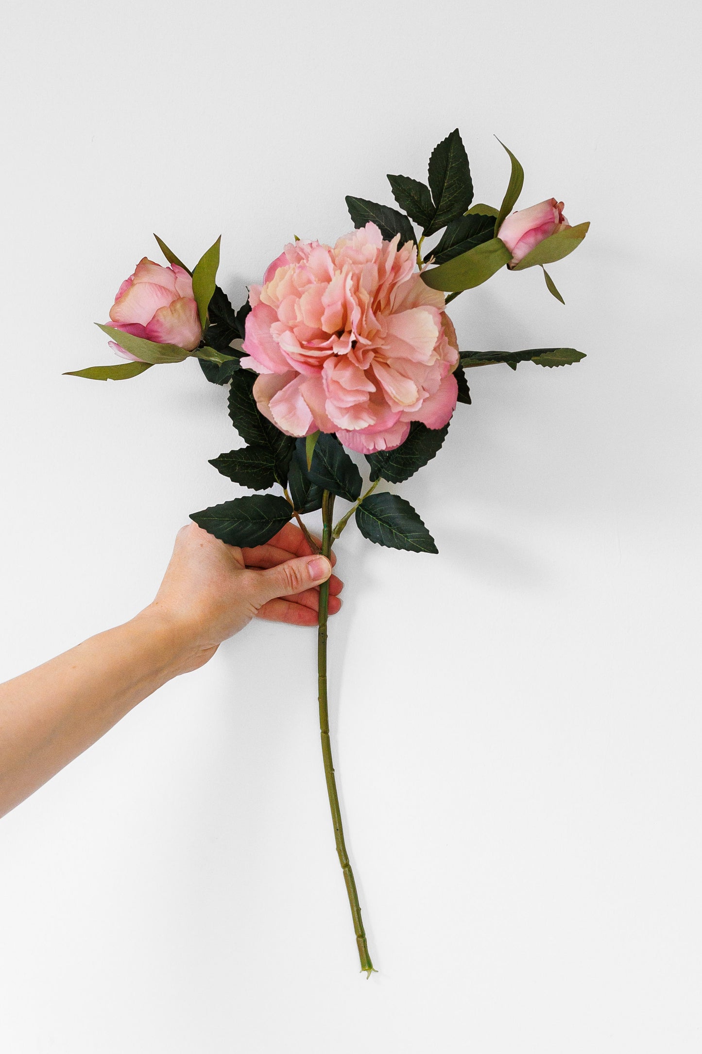 Ruffle peony - pink