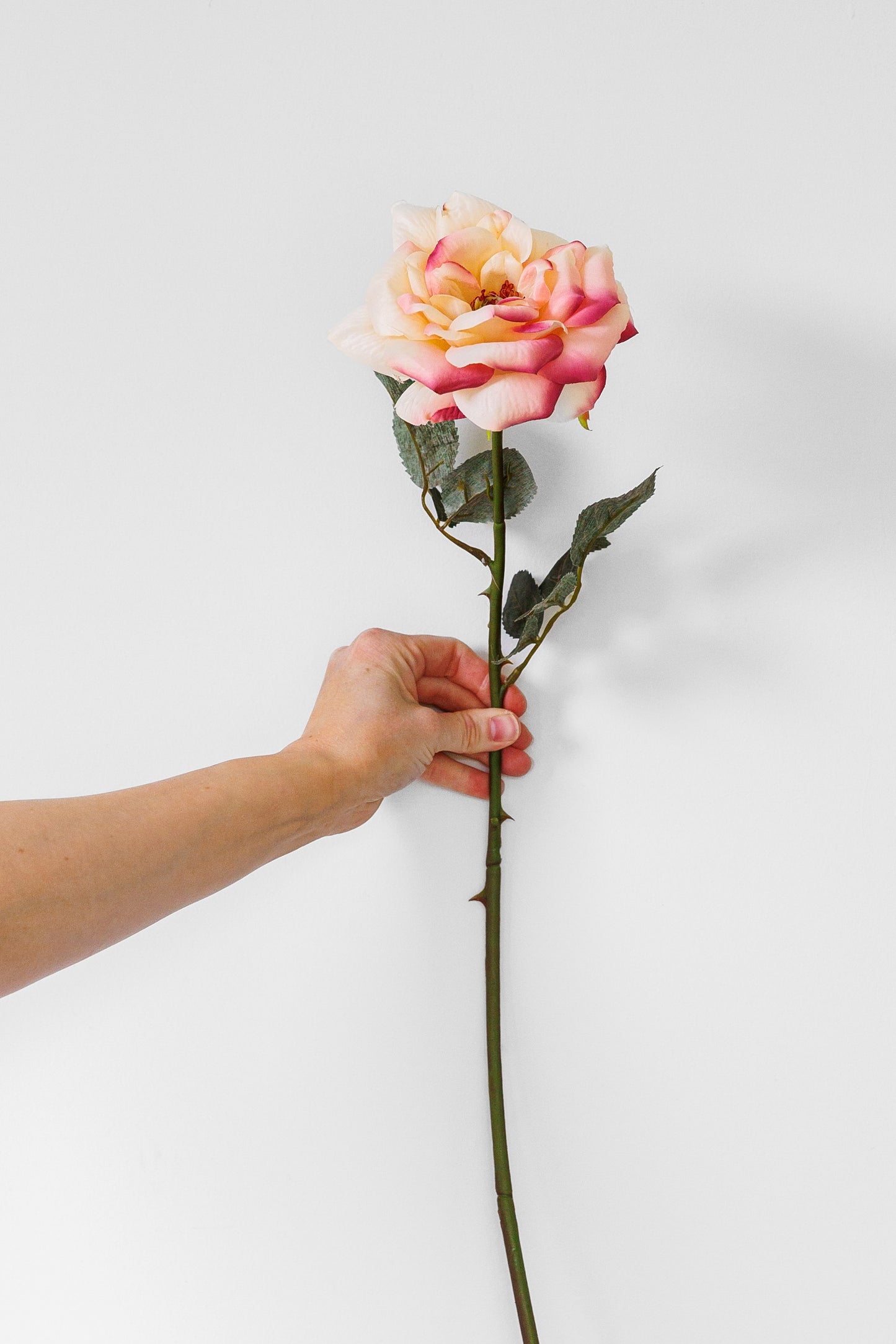 Blush rose stem loo