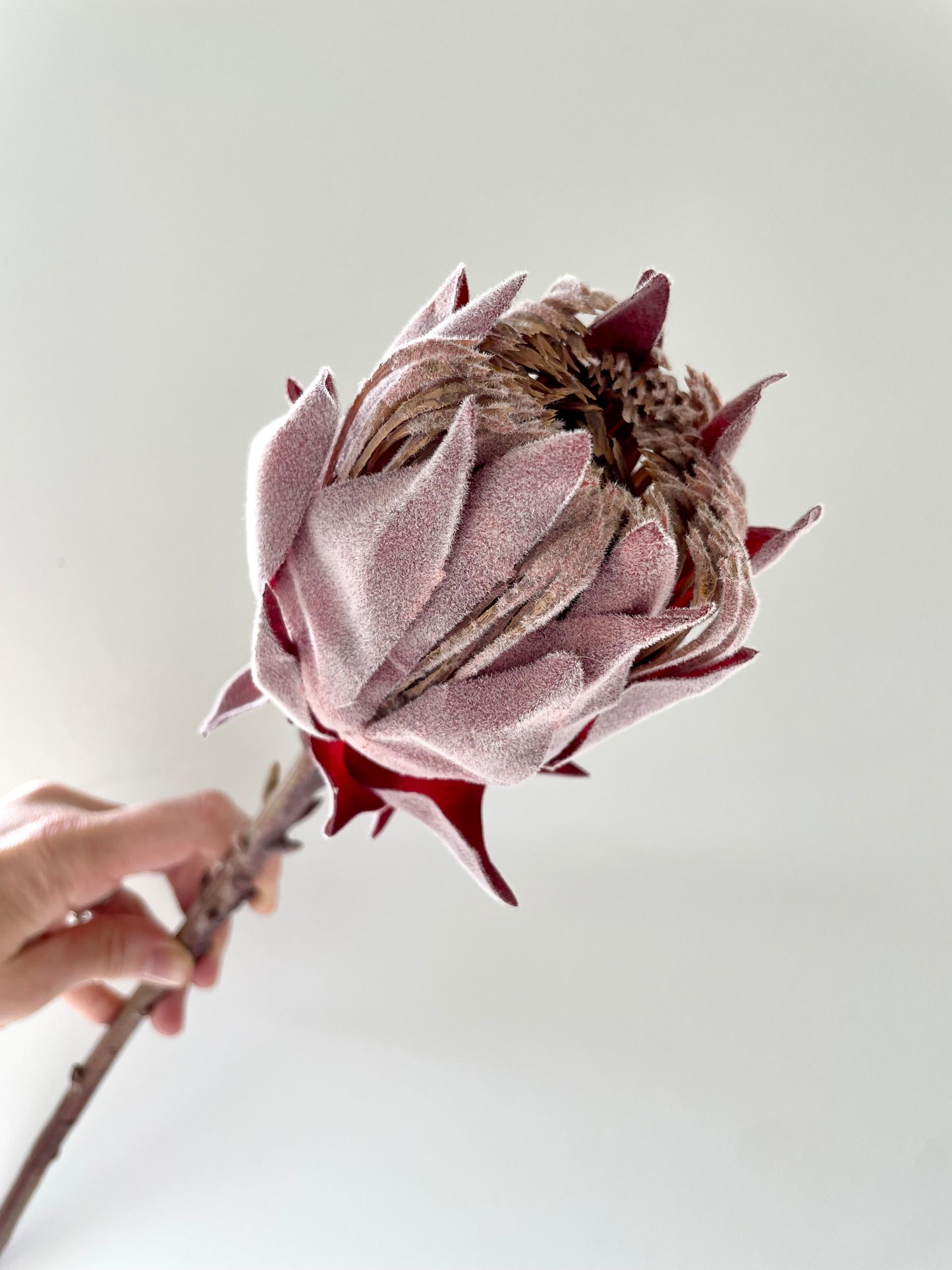 Faux protea stem