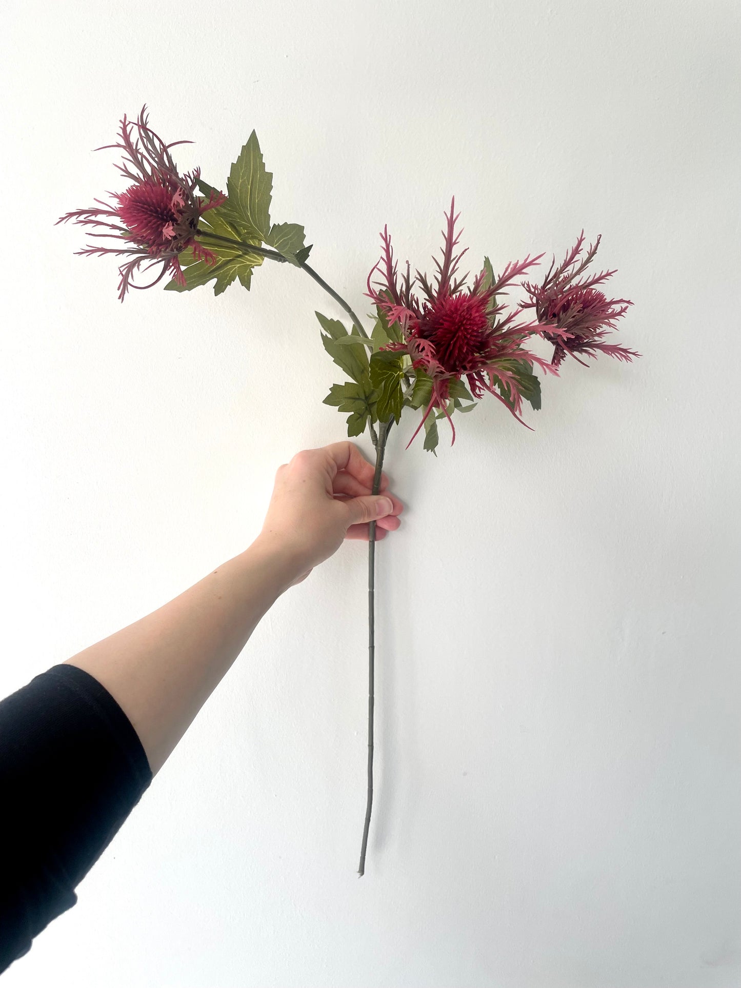 Faux burgundy teasel stem