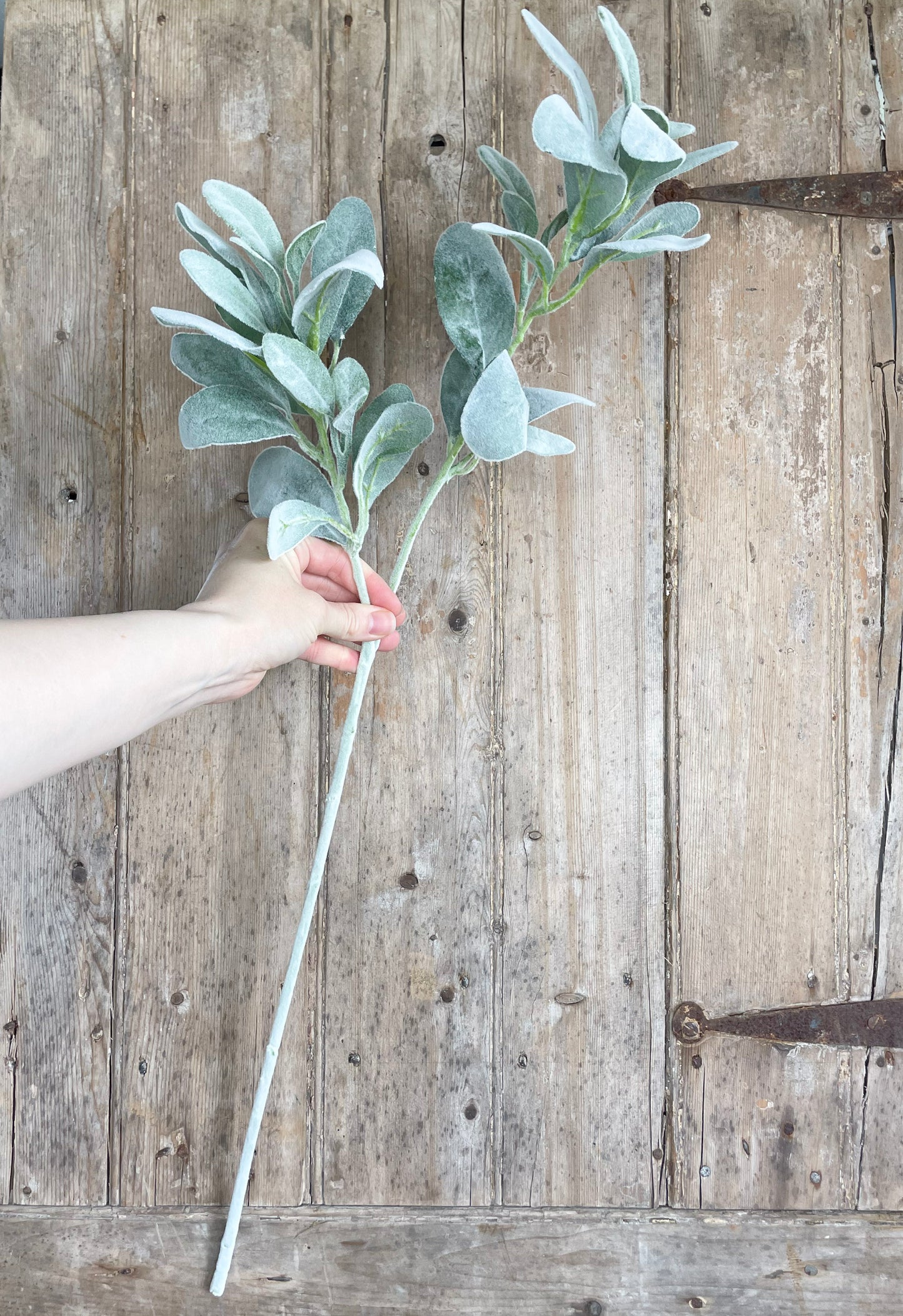 Faux lambs ear stem