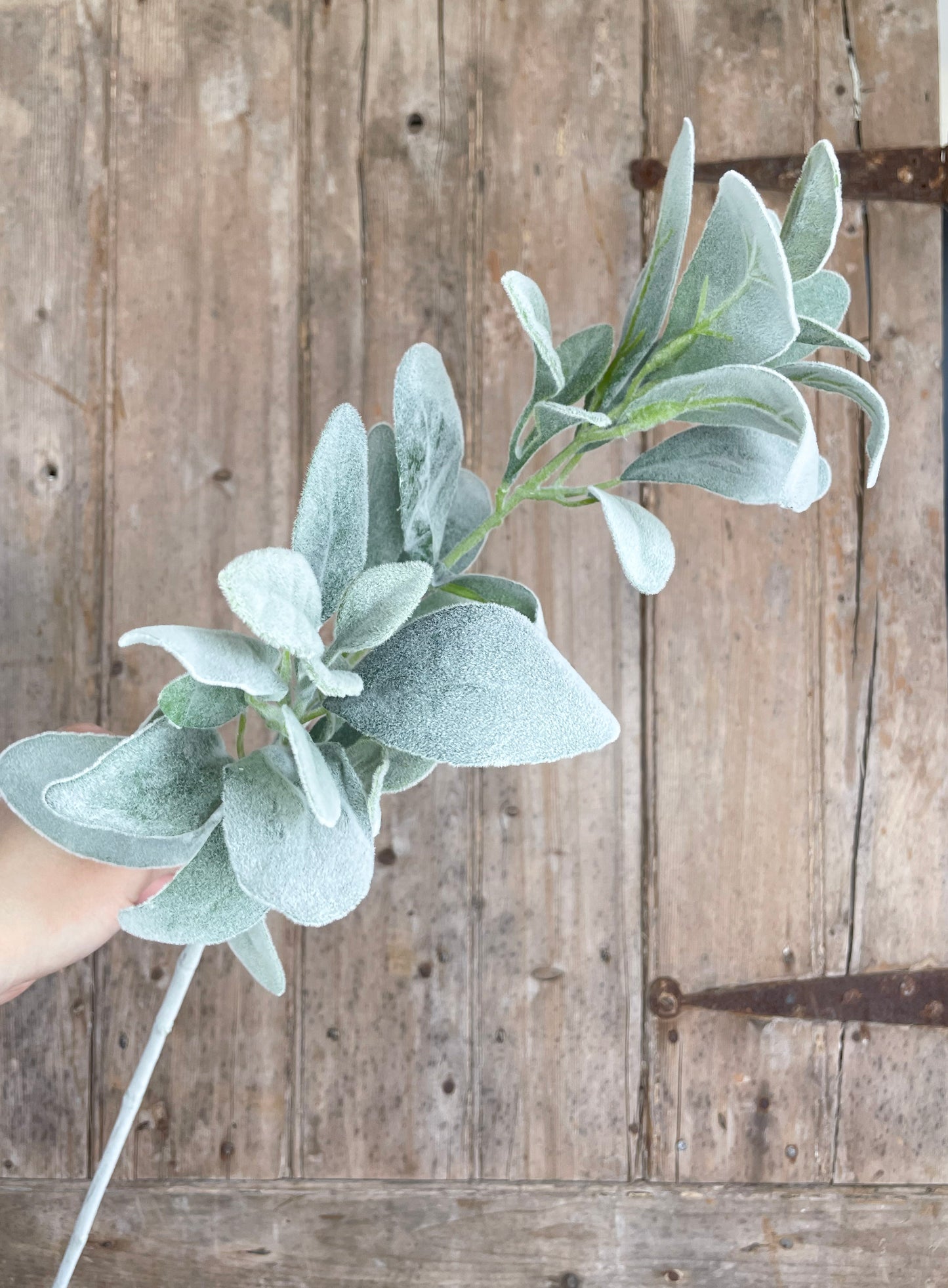 Faux lambs ear stem