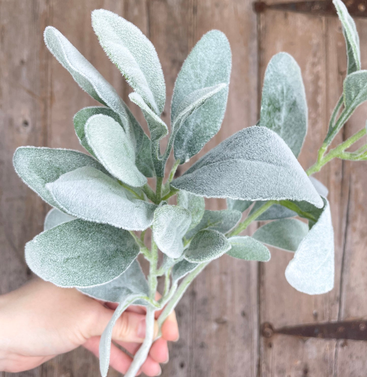 Faux lambs ear stem
