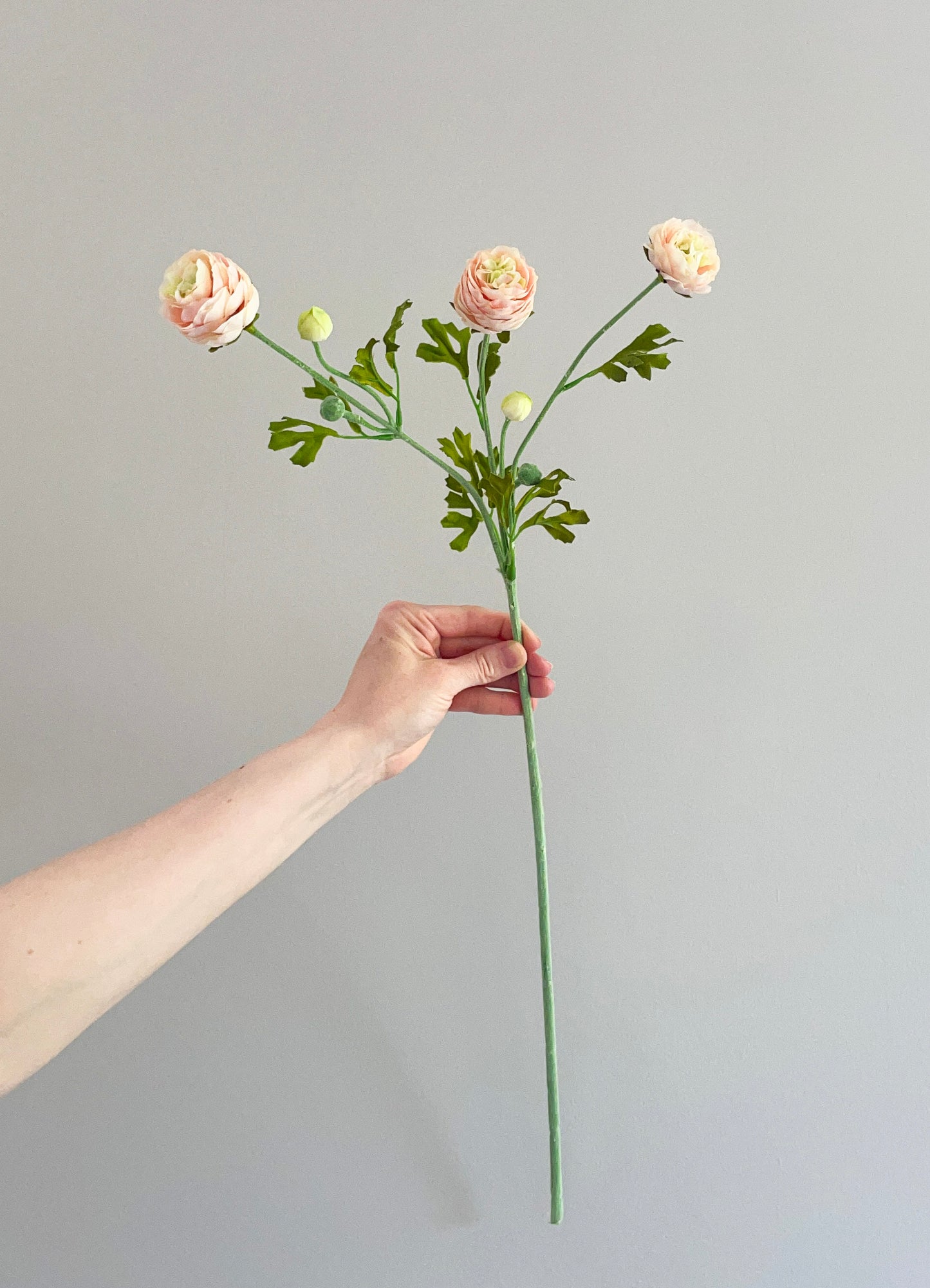 Faux pink ranunculus stem