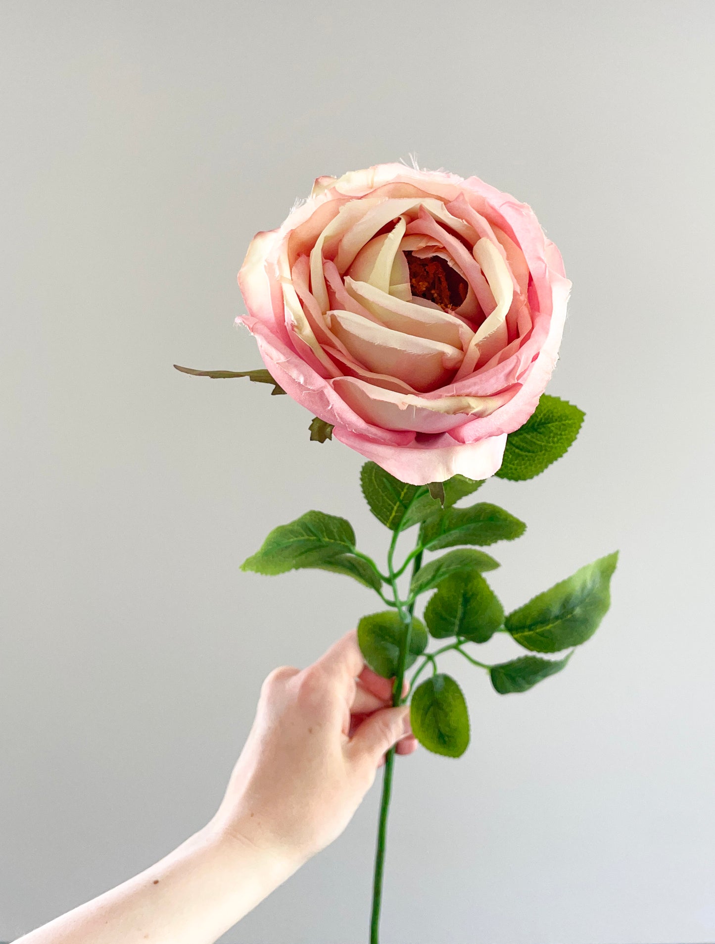 Faux pink cabbage rose stem