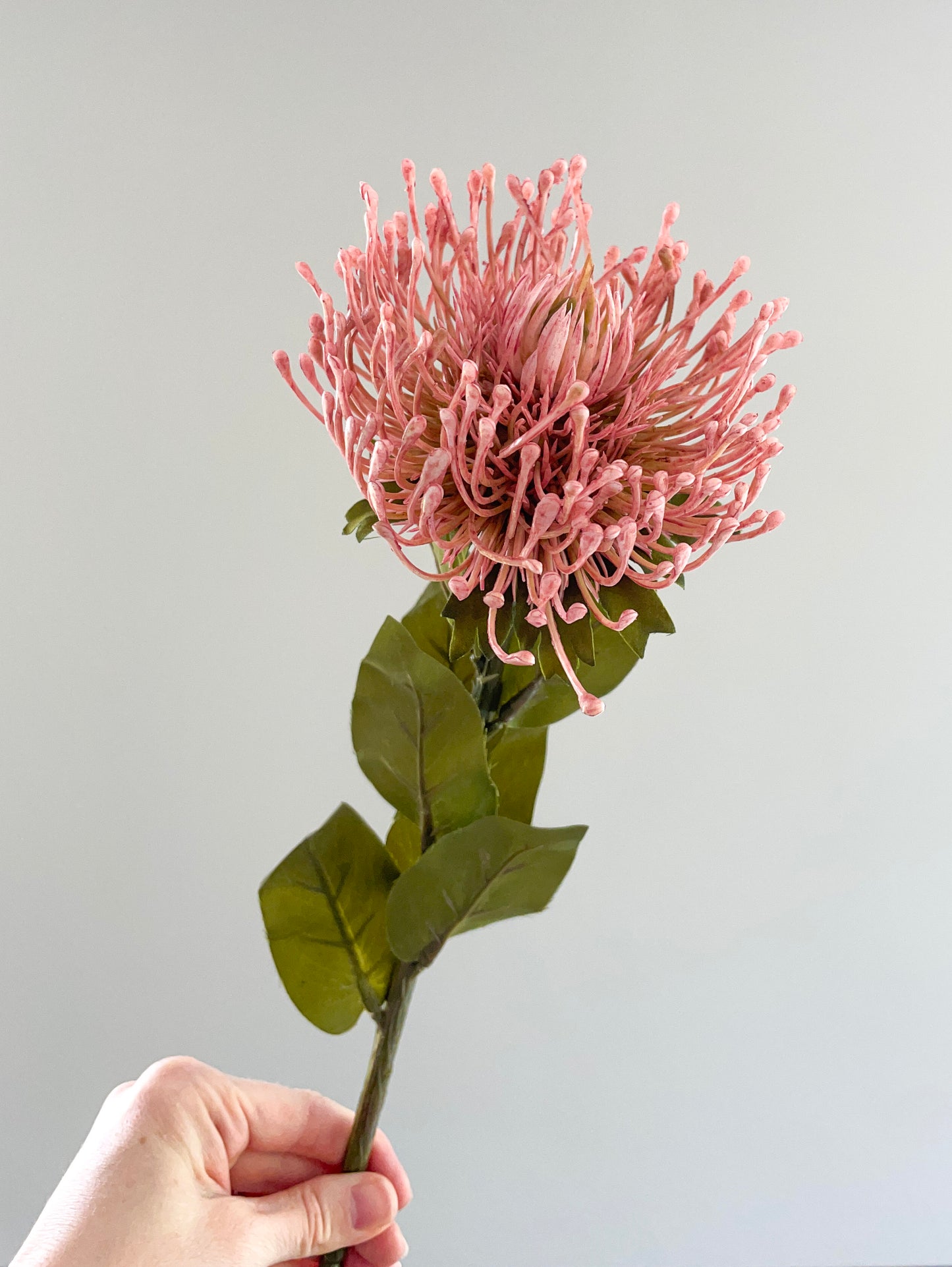 Faux dusky pink protea stem