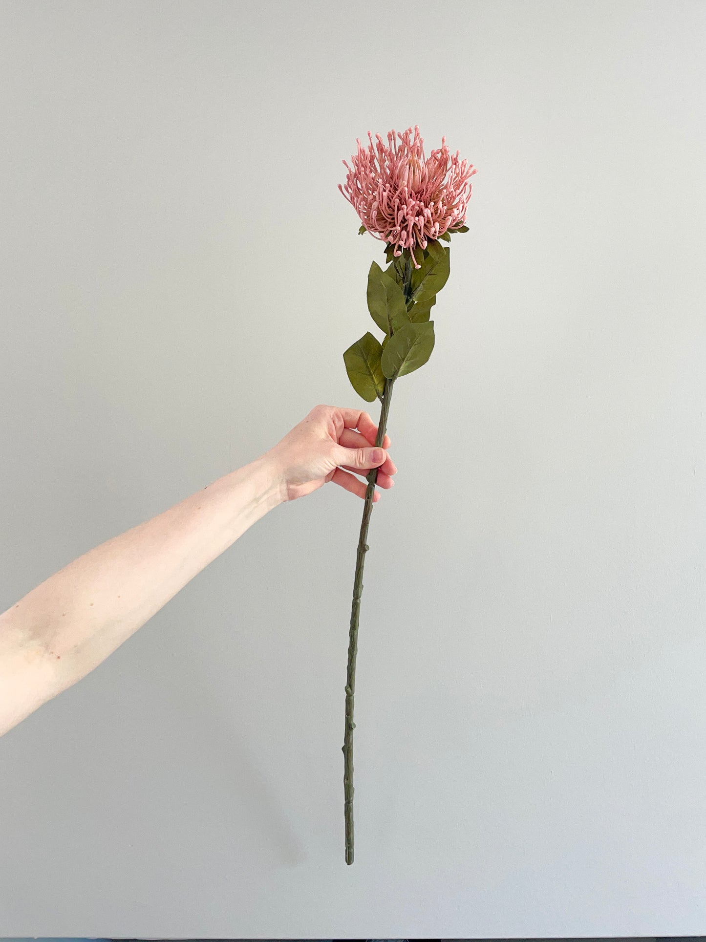 Faux dusky pink protea stem