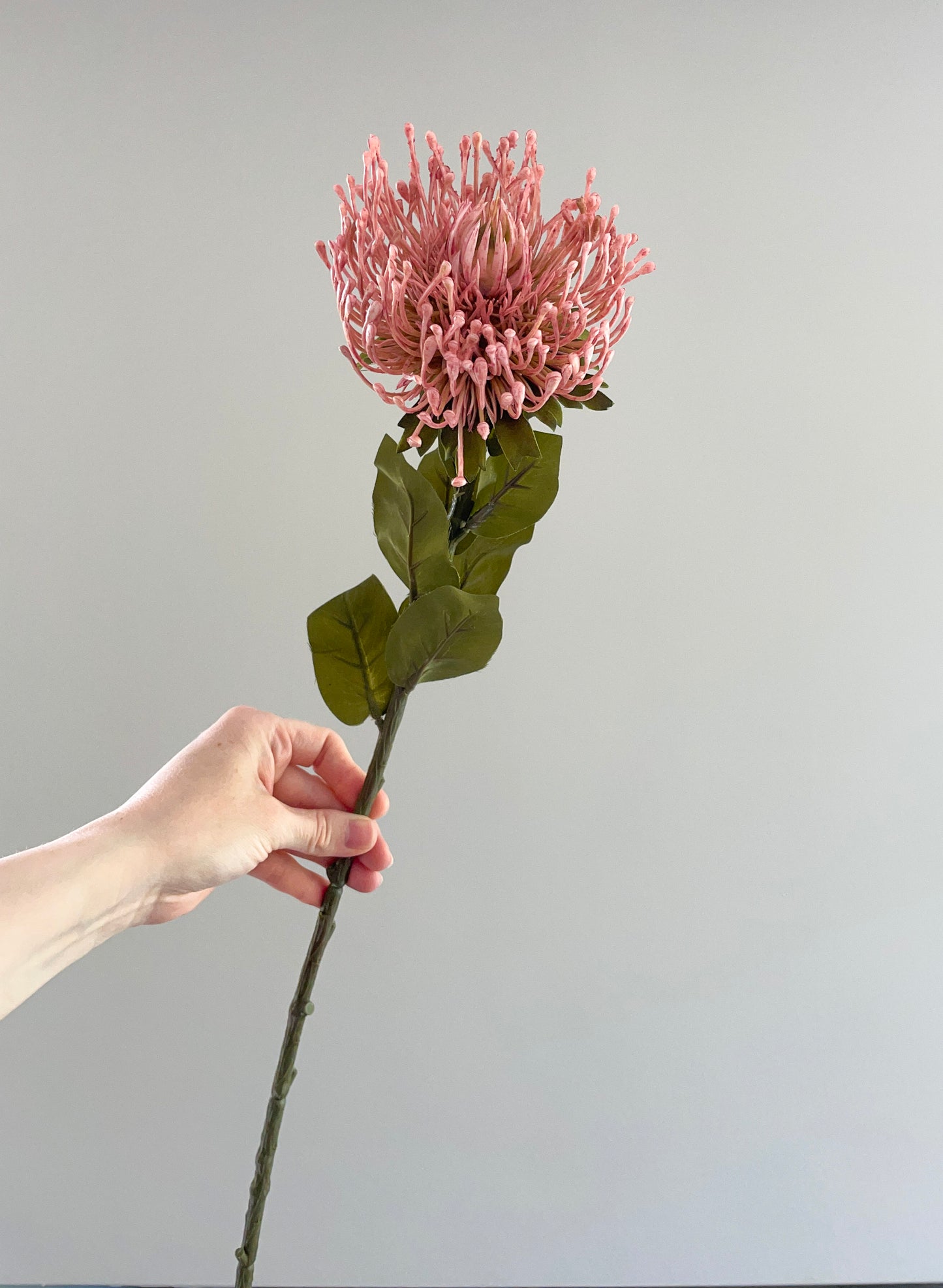 Faux dusky pink protea stem