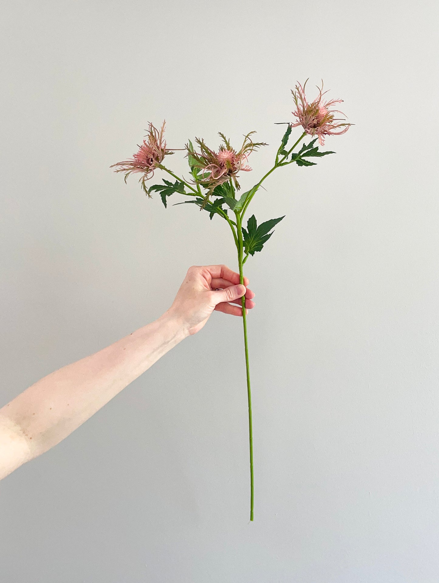 Faux pink thistle stem