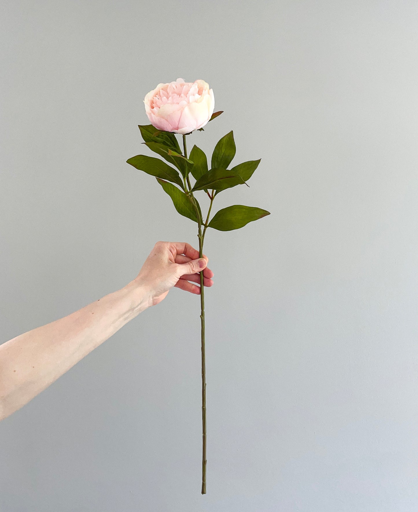 Faux pink peony