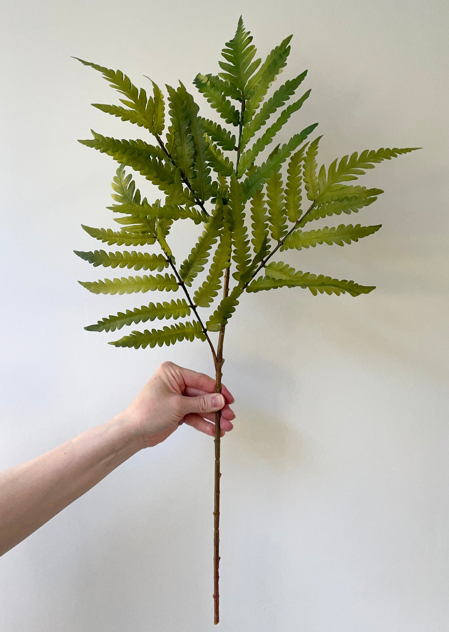 Faux fern stem