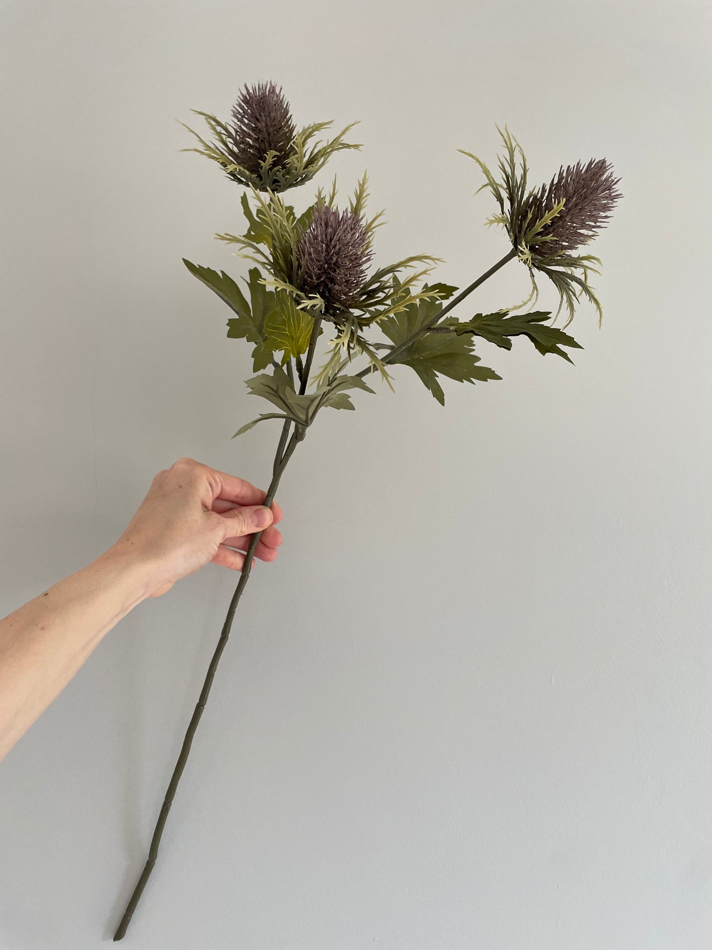 Faux lilac teasel stem