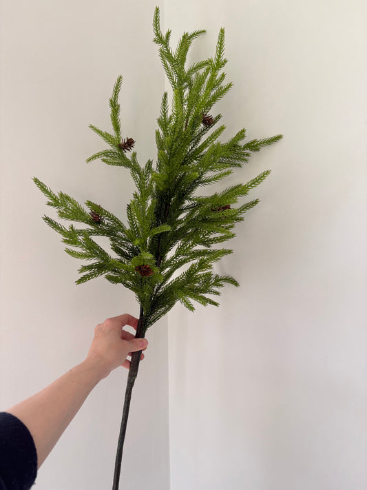Faux Norfolk pine stem (large)