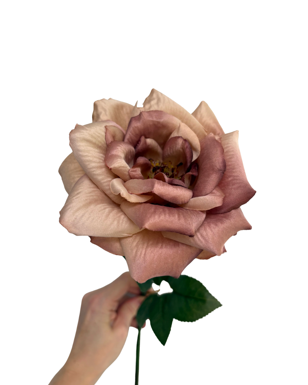 Faux chestnut rose stem