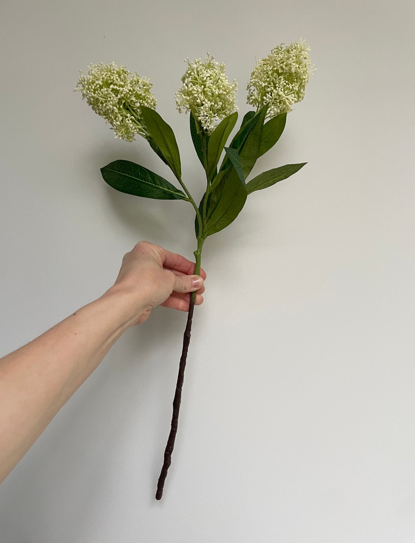 Faux skimmia stem- ivory