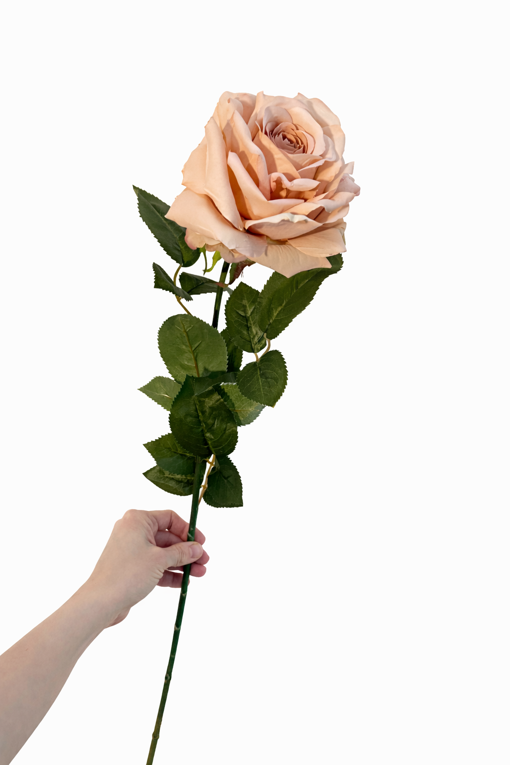 Faux Peach rose stem