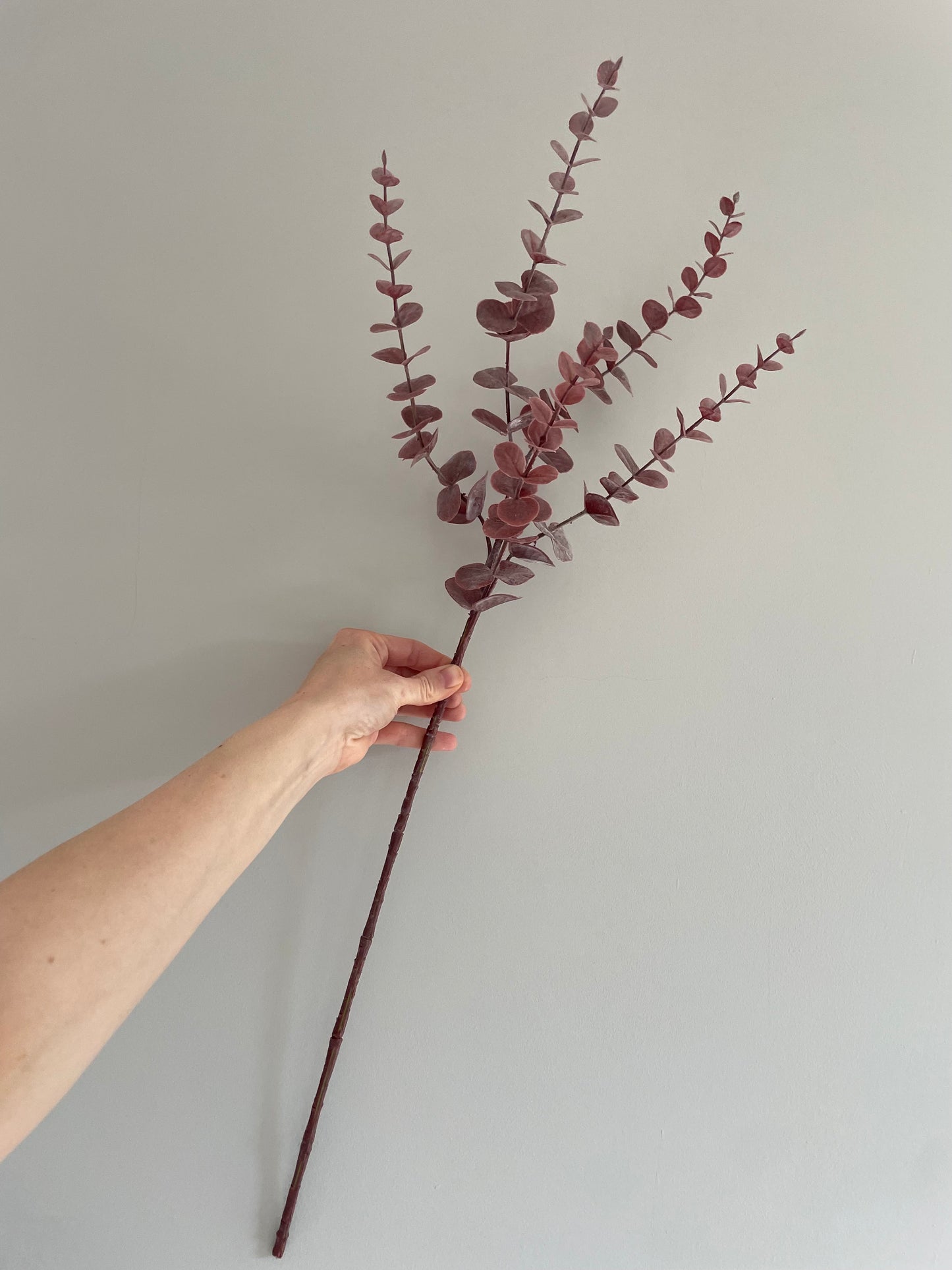 Faux mauve eucalyptus stem