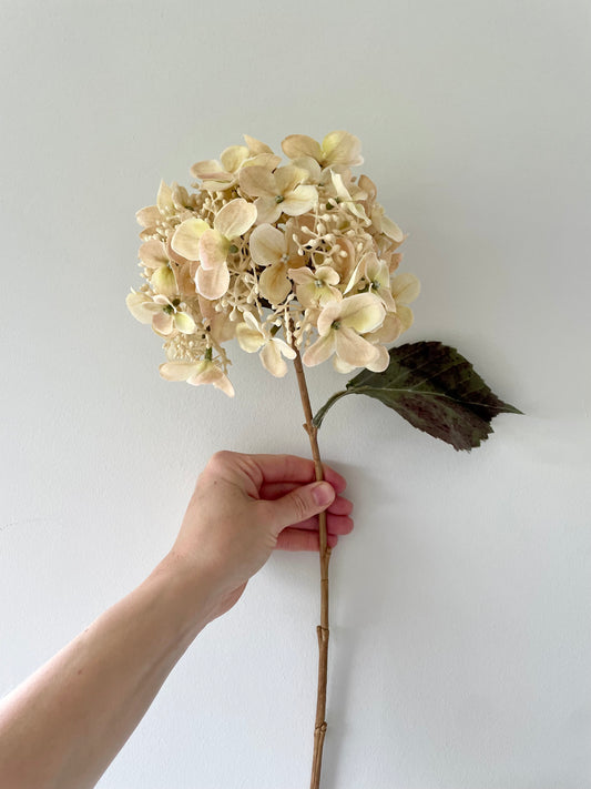 Faux budding hydrangea stem - ivory