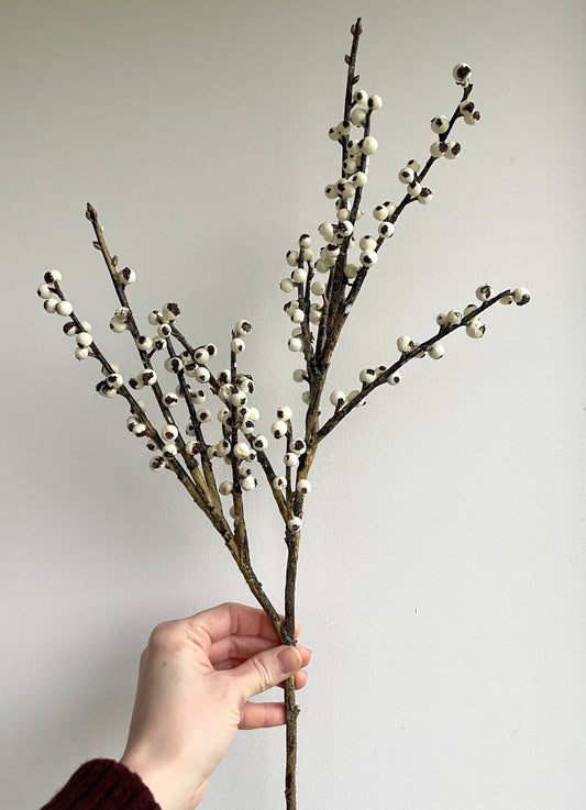 Ivory berry stem