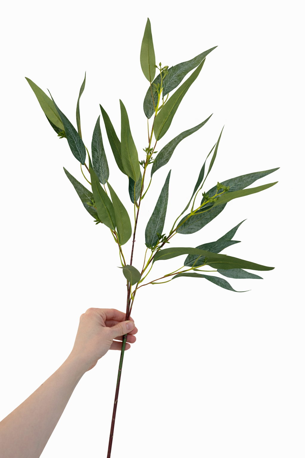 Faux long leaf eucalyptus stem