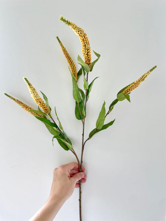 Faux mustard Veronica stem