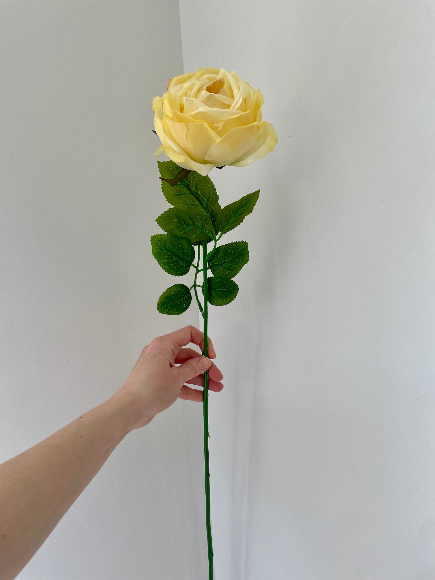 Faux lemon cabbage rose stem