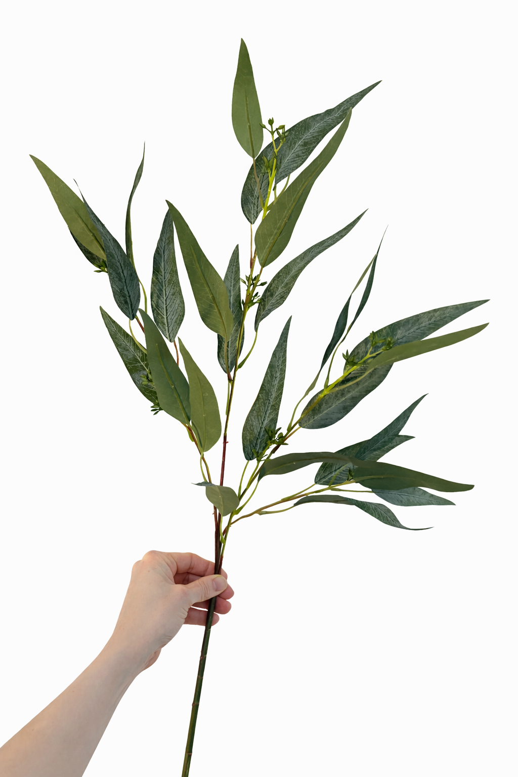 Faux long leaf eucalyptus stem