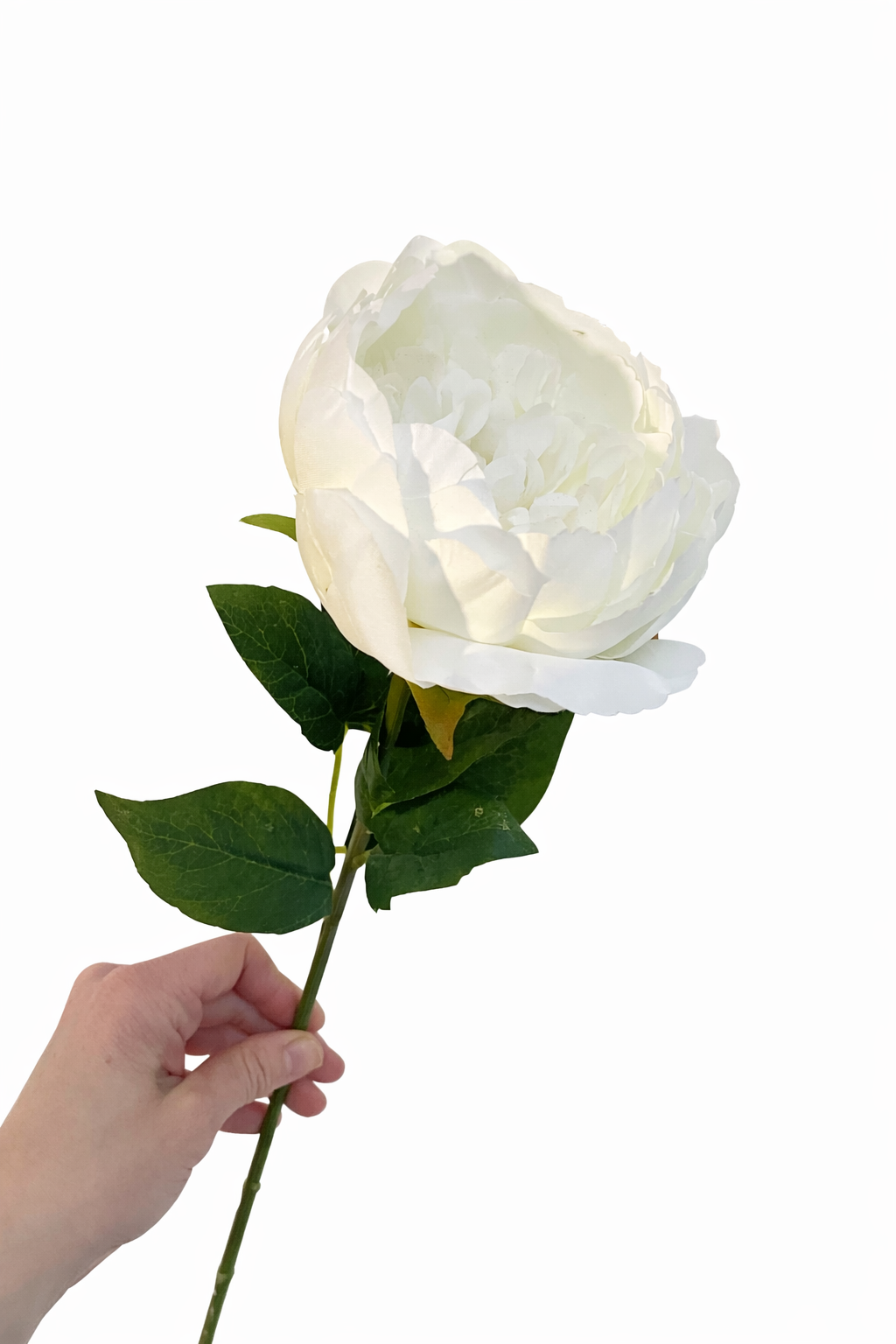 Faux ivory peony stem