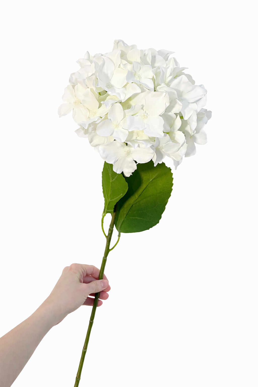 Faux ivory hydrangea stem