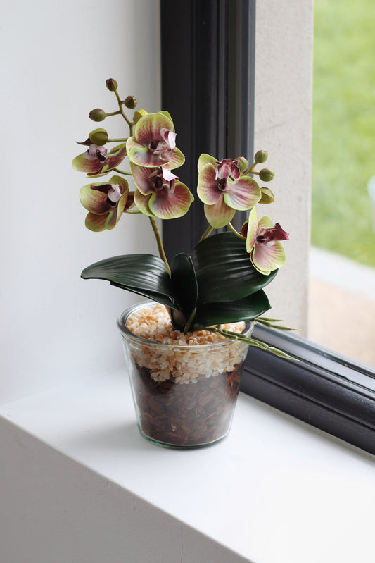 Faux potted orchid