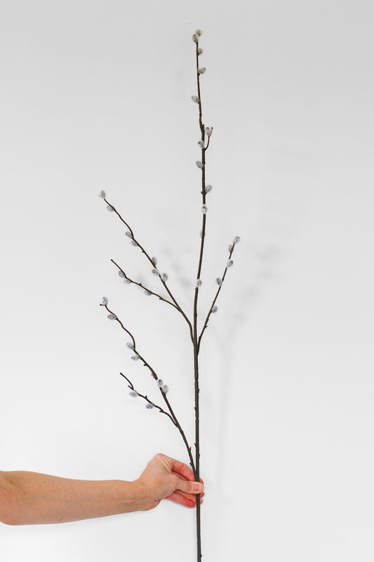 Pussywillow stem