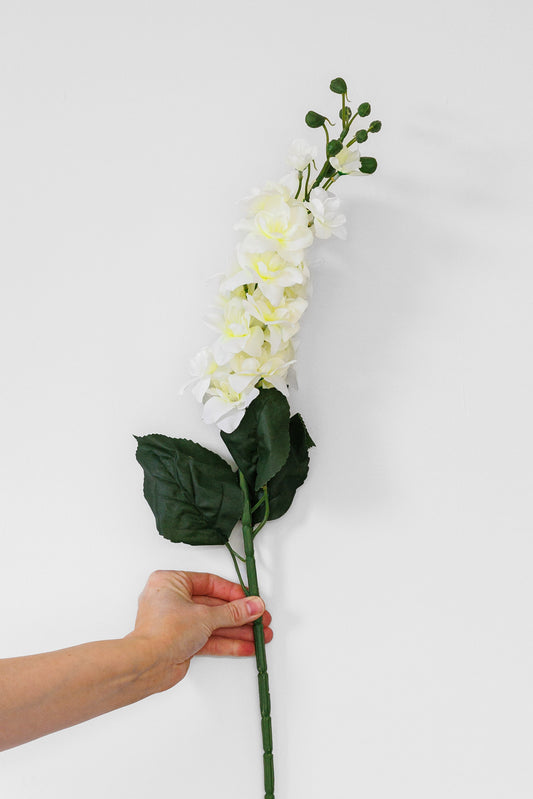 Ivory stock flower