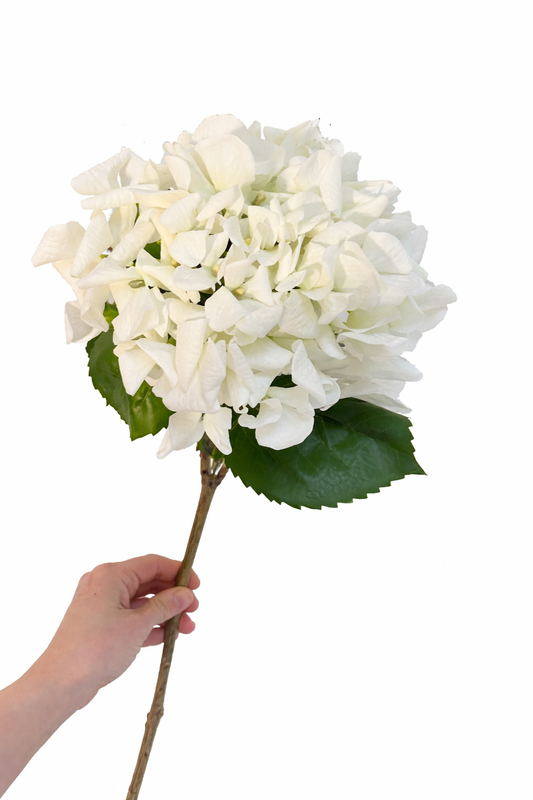Faux real touch ivory hydrangea stem