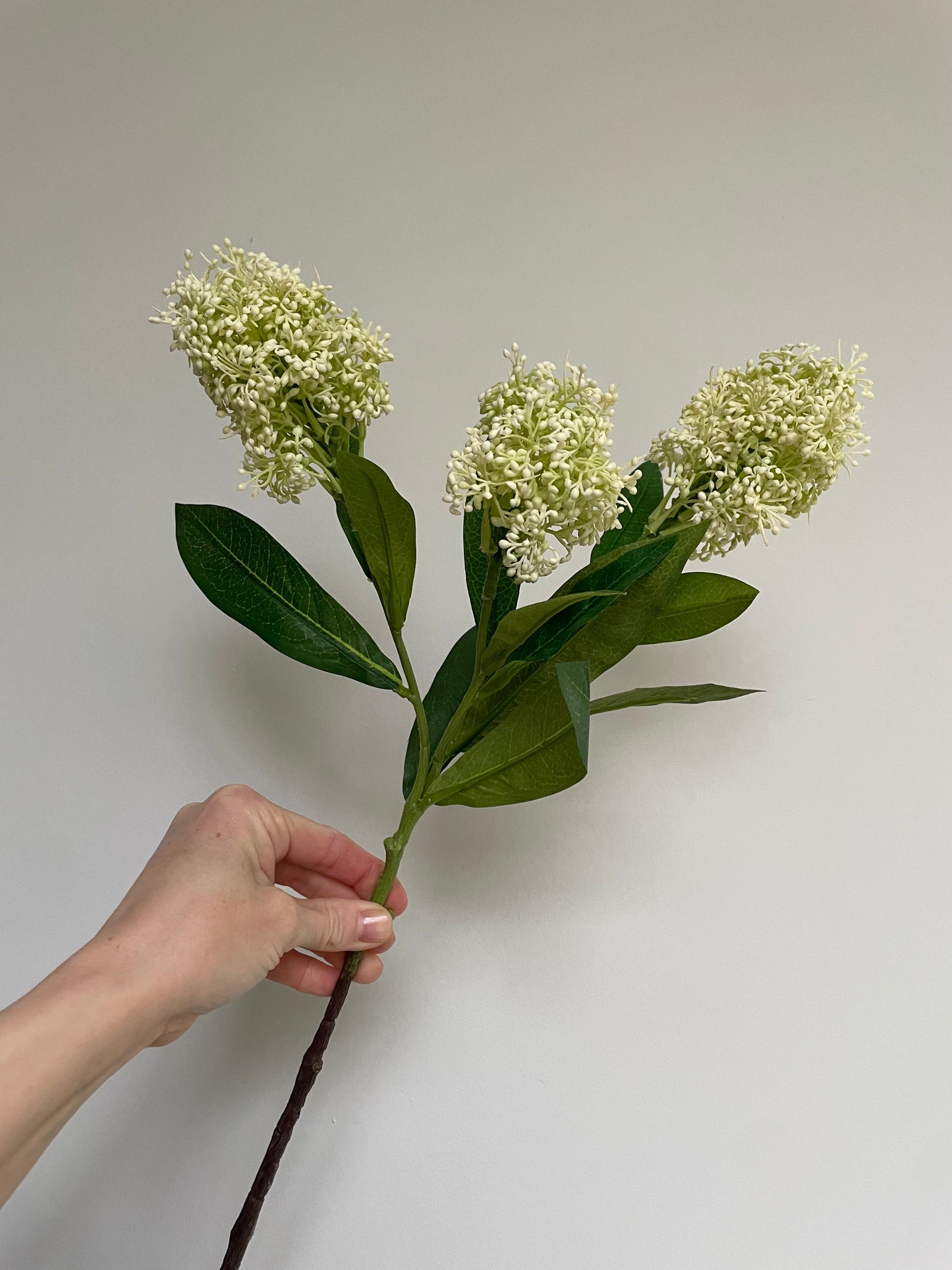 Faux skimmia stem- ivory