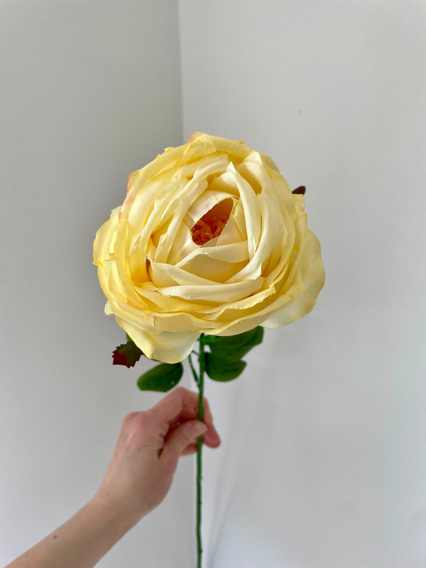 Faux lemon cabbage rose stem