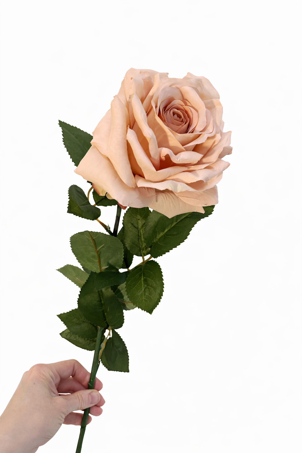 Faux Peach rose stem